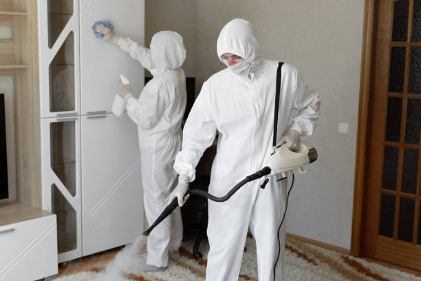 Best Attic Mold Removal  in Hoffman Estates, IL