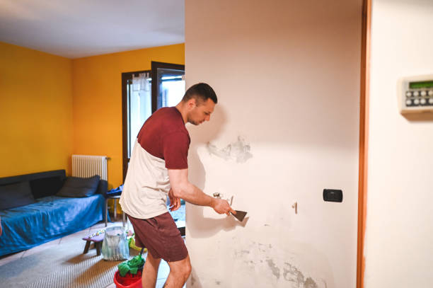 Hoffman Estates, IL Mold Removal Company