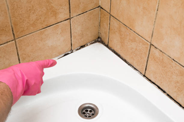 Water Damage Restoration in Hoffman Estates, IL